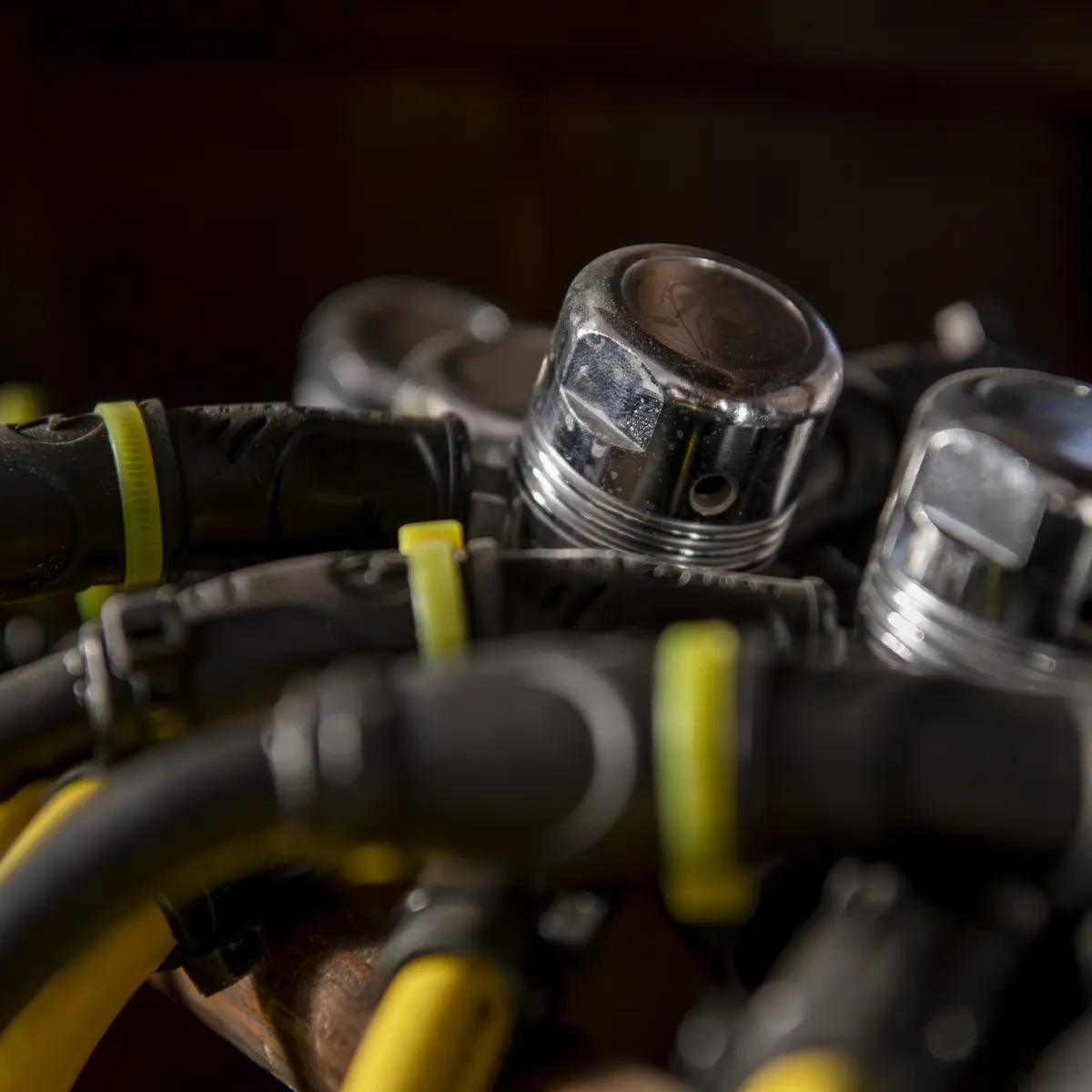 Scuba Diving Seven-Day Camp