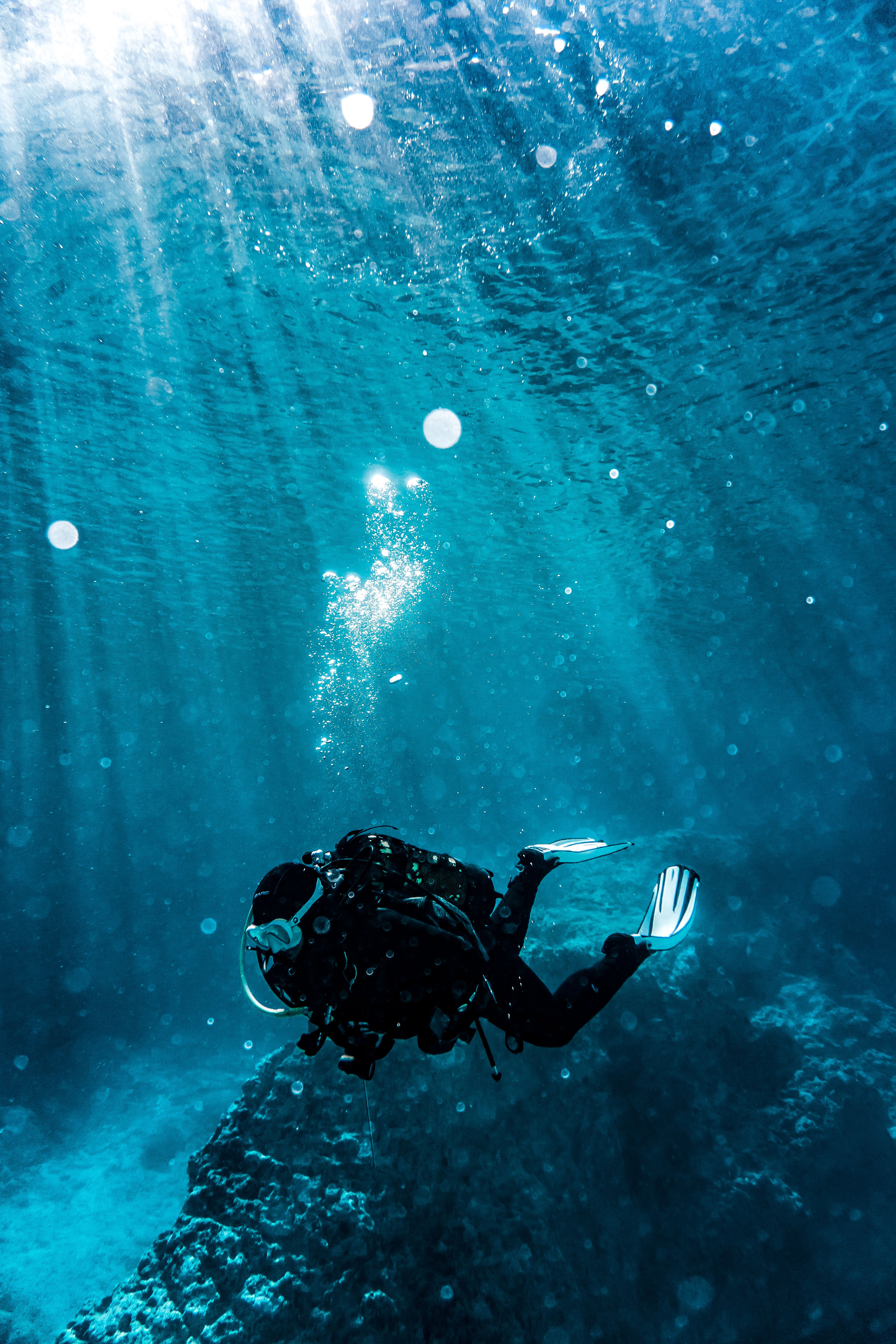 Scuba diver exploring a Red Sea reef in Dahab