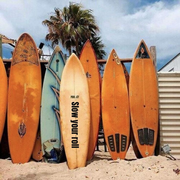 Surf Camp Morocco Seven-Day 